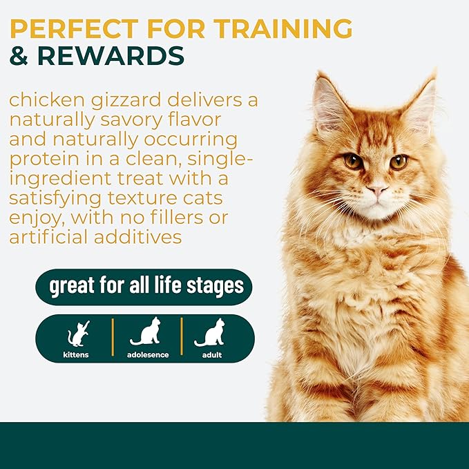 Momentum Carnivore Nutrition Freeze-Dried Chicken Gizzard Cat Treats – Single-Ingredient, High-Protein, All-Natural, Grain-Free, Naturally Flavorful – Made in USA – 1.9 oz Bag