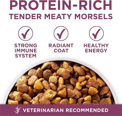 Purina ONE Plus Healthy Puppy Formula High Protein Natural Dry Puppy Food with added vitamins, minerals and nutrients - (Pack of 4) 4 lb. Bags