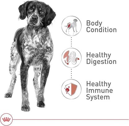 Royal Canin Size Health Nutrition Medium Adult Dry Dog Food, 17 lb Bag