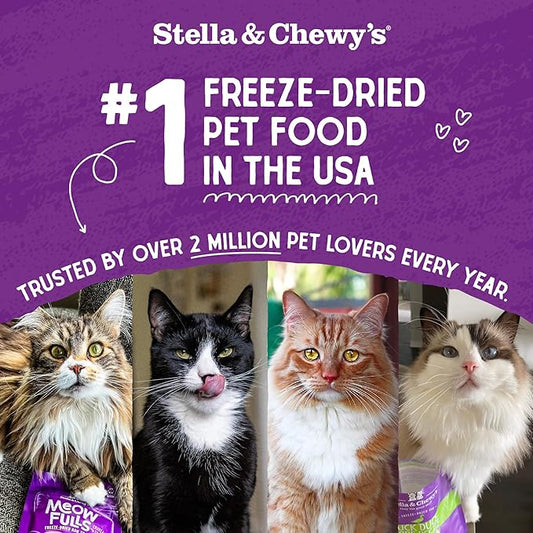 Stella & Chewy's Freeze-Dried Raw Cat Dinner Morsels - Premium Salmon & Chicken Recipe with 98% Wild-Caught & Cage-Free Protein - Natural Grain-Free Cat & Kitten Food - Made in USA - 1 oz (Pack of 6)