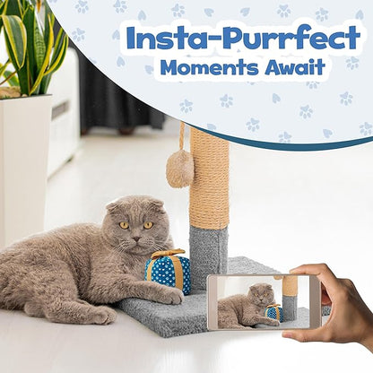 PUPROAR Gift Box Cat Toy, Cat Birthday Toy with Catnip and Crinkle, Cute Indoor Gift for Cats