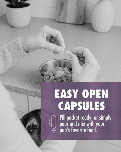 HEALTH DIRECT – RenuVite 4 Dogs | Hip & Joint Supplement for Senior Dogs | Supports Mobility & Energy | Anivestin, Collagen, Aronia Berry, DHEA | 20-120 Servings, 60 Capsules