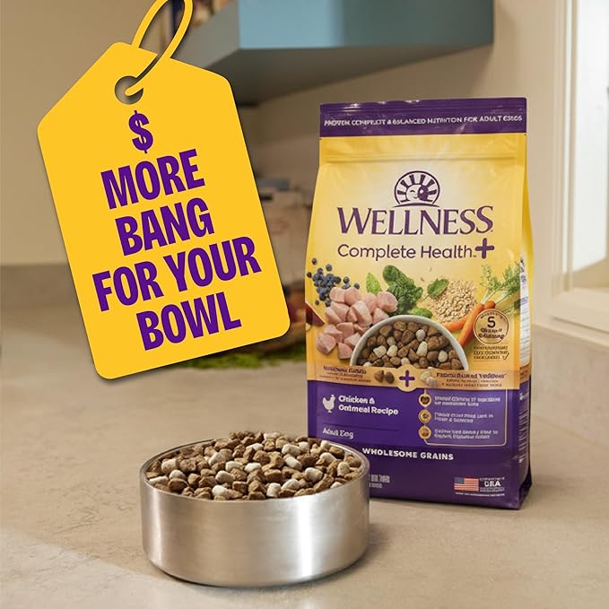 Wellness Complete Health+ Small Breed Adult Dry Dog Food with Freeze Dried Wellbites, Wholesome Grain Kibble+, Natural, Turkey and Oatmeal Recipe, 3.75 lb Bag