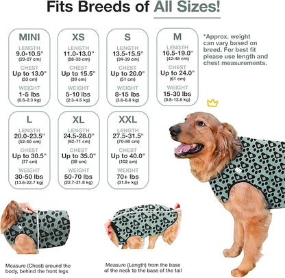 BellyGuard Dog Surgery Recovery Suit, Dog Onesie for Post-Op Care, Recovery Apparel for Female and Male, Surgical Body Cover for Canine Healing Support