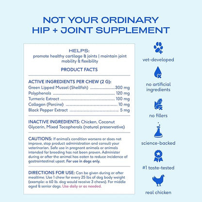 Native Pet Inflammatory Care - Pain Relief for Dogs - Green-Lipped Mussel, Turmeric & Collagen for Dogs - Hip and Joint Supplement Supports Healthy Inflammatory Response & Joint Comfort - 60 Chews
