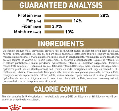Royal Canin Breed Health Nutrition Dachshund Puppy Dry Dog Food, 2.5 lb Bag