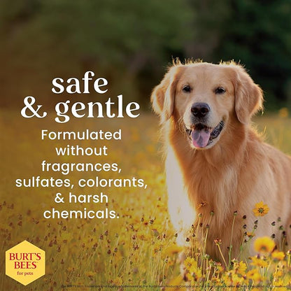 Burt's Bees for Pets Hypoallergenic Dog Shampoo with Shea Butter and Honey, Gentle Fragrance Free Shampoo for Sensitive Dogs with 95% Natural Origin Skin and Coat Formula, 16 Fl Oz