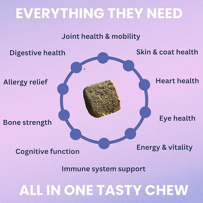 Under the Weather Multivitamin for Dogs | Vet Formulated Daily Canine Health Supplies for Immunity, Skin, Coat & Joint Support | All-in-One Multivitamin for Dogs of All Breeds & Sizes | 60 Count
