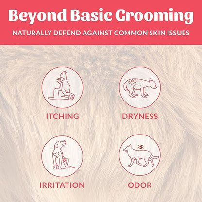 SKOUT'S HONOR Probiotic Pet Deodorizer Spray- Hydrating Daily-Use with Avocado Oil & Omega-3s, Microbiome Friendly Certiified, Paraben & Sulfate-Free, 97% Natural, 8oz, Sunkissed Coconut, 2-Pack
