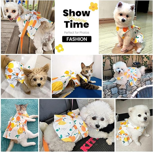 ABRRLO Cute Dog Dress Small Dog Clothes for Girls Female Puppy Outfits Yellow Lemon Pet Summer Clothes Bowknot Doggy Cat Princess Dress Harness for Holiday Birthday Party Costume Clothing(Yellow,L)