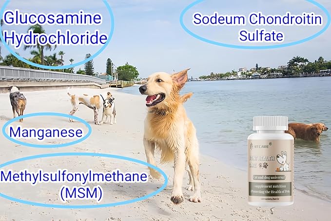 Hip and Joint Supplement for Dogs- with Glucosamine, Chondroitin, and MSM,120 Chewable Tablets, Chicken Flavor, Dog Joint Supplement，Joint Support Supplement for Dogs