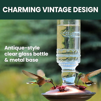 Perky-Pet Antique Glass Bottle Hummingbird Feeder - Outdoor Garden Décor Hummingbird Feeder - 8107-1SR - 10 Fl Oz Nectar Capacity - Durable Humming bird Feeder for Backyards, Porches, Decks, Hooks