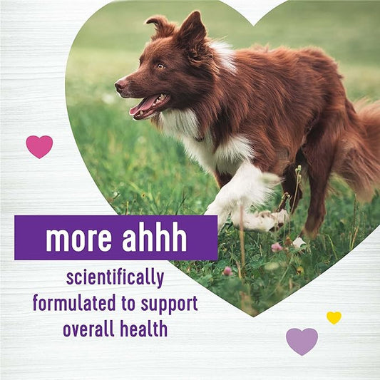 Wellness Peanut Butter & Apple Flavored Soft Chews Multi-Benefit Supplements for Dogs, 45 Count