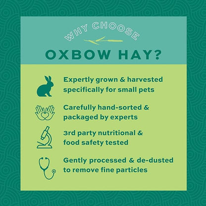Oxbow Orchard Grass Hay for Small Pets – All-Natural Long Strand Fiber Hay for Rabbits, Guinea Pigs, Chinchillas, and Hamsters – Supports Digestive Health and Enrichment – 40 oz Bag