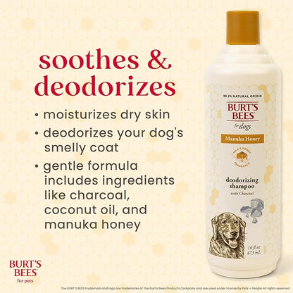 Burt’s Bees for Pets Deodorizing Shampoo with Manuka Honey and Charcoal for Dogs - Naturally Derived Ingredients, 16 Fl Oz