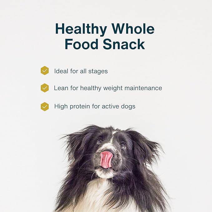 JustFoodForDogs Single Ingredient Healthy Dog Treats and Dog Snacks, Jerky Treats, Human Grade, Preservative and Grain Free, Rawhide Free Chews, Low Calorie Treat - Pumpkin, 5 oz