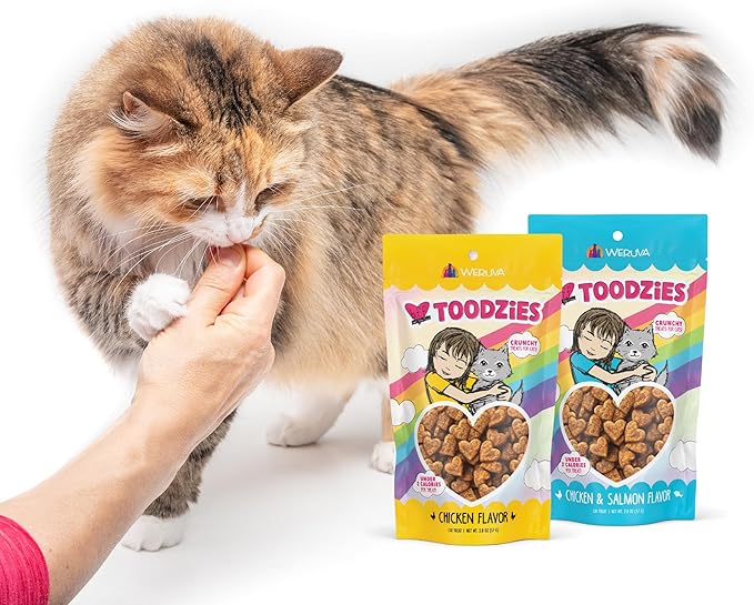 Bundle of Weruva BFF Toodzies Crunchy Cat Treats: Chicken, Chicken & Salmon, and Salmon Crunchy Cat Treats, 2oz Bags