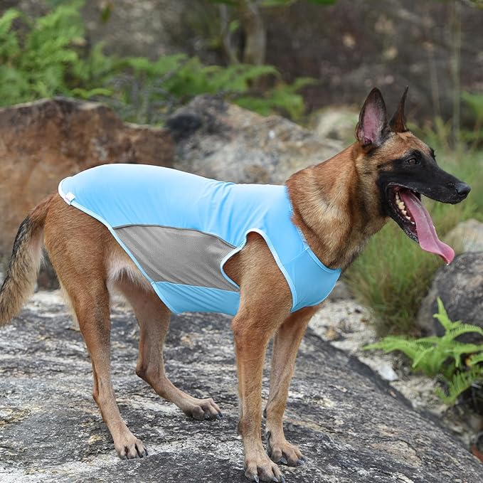 2 Pack UPF 50+ Sun Protection Pet Shirts, Sports Fan T-Shirts for Small Dogs, Lightweight Sleeveless Dog Vest with Reflective Strips, Cat Outfit P23ST00505S