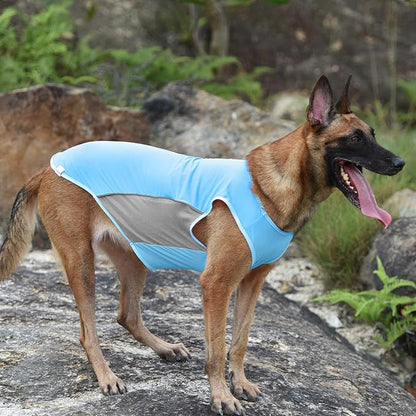 2 Pack UPF 50+ Sun Protection Pet Shirts, Sports Fan T-Shirts for Small Dogs, Lightweight Sleeveless Dog Vest with Reflective Strips, Cat Outfit P23ST00505S