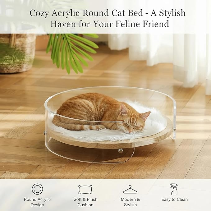Modern Clear Acrylic Pet Bed ，cat beds for Indoor Cats，cat Bed - Contemporary pet Furniture, Comfortable pet Bed and Sofa for Small Dogs, Indoor pet Bed