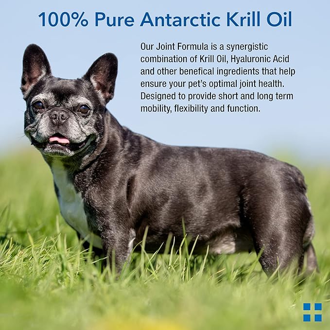 Animal Pharmaceuticals Krillex Joint Formula & Omega 3 Krill Oil for Dogs & Cats - Glucosamine for Dogs - Chondroitin, MSM, & Hyaluronic Acid for Joint Care - Cheese Flavor Chews - 60 ct, 1lb, 450g