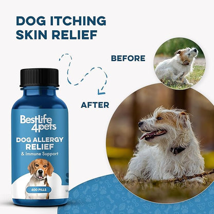 Dog Allergy Relief & Immune System Booster – Homeopathic Formula for Allergy Support & Skin Relief for Dog Itching – Helps with Sneezing, Runny Nose, Swelling, & Seasonal Allergies – 400 Tiny Pills