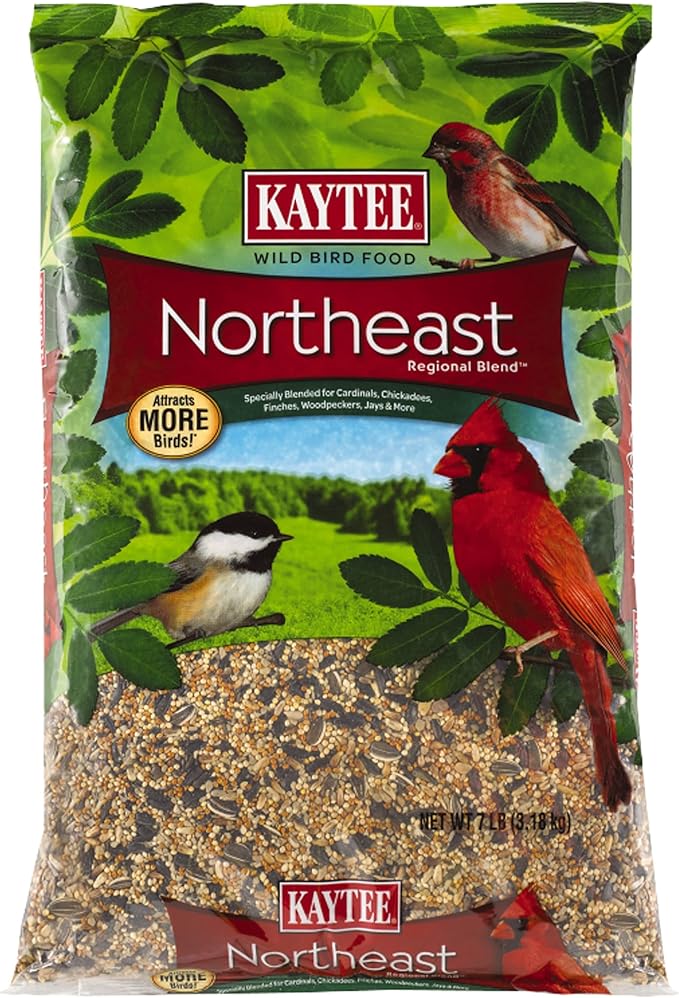 Kaytee Northeast Regional Wild Bird Blend,7-Pound Bag,(Pack of 6)