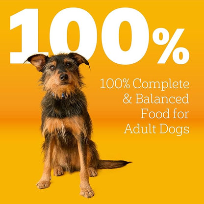Pedigree Adult Dry Dog Food, Complete Nutrition, Roasted Chicken & Vegetable Flavor, 3.5 lb. Bag