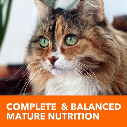 IAMS Proactive Health Senior Dry Cat Food Cat Food Dry Chicken Recipe, Real Chicken in Every Bite, 16 lb. Bag