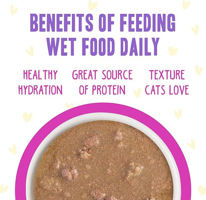 Weruva B.F.F. OMG - Best Feline Friend Oh My Gravy!, Chicken & Duck Dream Team with Chicken & Duck in Gravy, 5.5oz Can (Pack of 8)
