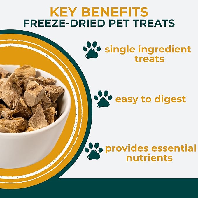 Momentum Carnivore Nutrition Freeze-Dried Chicken Gizzard Cat Treats – Single-Ingredient, High-Protein, All-Natural, Grain-Free, Naturally Flavorful – Made in USA – 1.9 oz Bag
