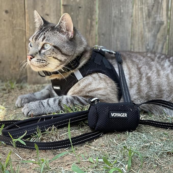 Best Pet Supplies Voyager Step-in Air All Weather Mesh Harness and Reflective Dog 5ft Leash Combo with Neoprene Handle, for Small, Medium and Large Breed Puppies - Set (Black), X-Small