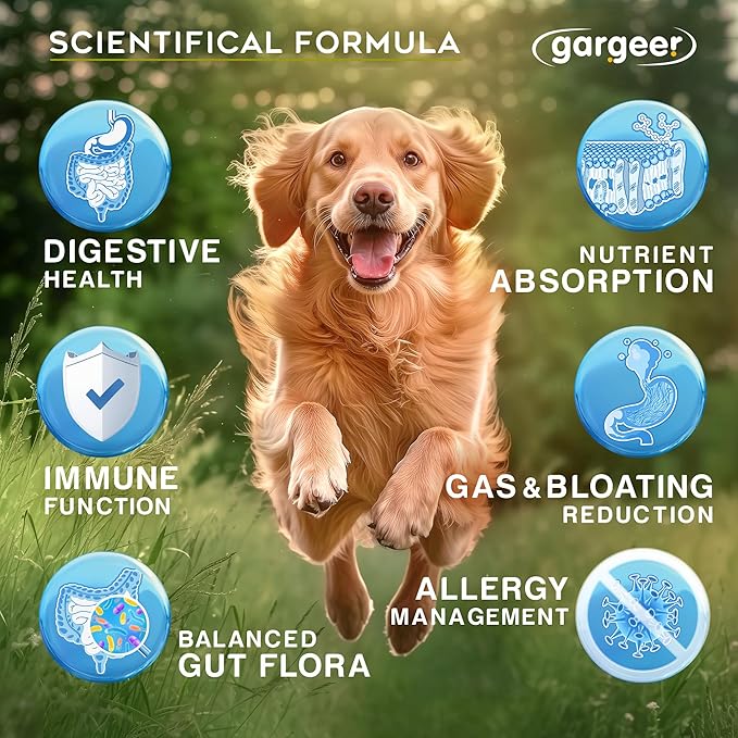 Gargeer Daily Probiotics & Prebiotics for Dogs. Supports Healthy Digestion, Gut Flora & Proper Immune System. for All Dog Breeds & Ages, 60 Delicious Duck Flavored Soft Chews. Made in the USA. Enjoy!