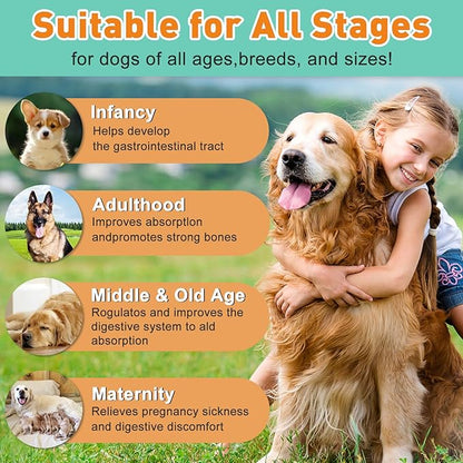 Probiotic Powder for Dogs & Cats, 10 Billion CFU Dog Probiotic Powder, with Digestive Enzymes & PrebioticsP, for Digestive Health, Immune Support, Diarrhea, Gas & Loose Stool
