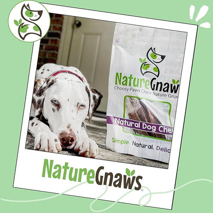 Nature Gnaws Beef Gullet Chews for Large Dogs 9-10" (20 Count) - Natural Beef Jerky Stick Dog Chew Treats - Rawhide Free