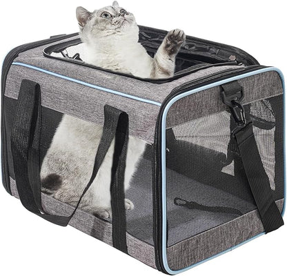 Vivicreate Cat Carrier Airline Approved, Soft Sided Pet Carrier for Small Medium Cats Dogs Puppies Up to 15 lbs, Collapsible Dog Carrier with Shoulder Strap, Waterproof Travel Carrier