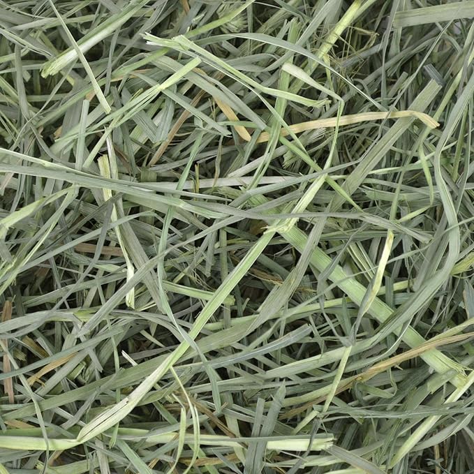 Oxbow Orchard Grass Hay for Small Pets – All-Natural Long Strand Fiber Hay for Rabbits, Guinea Pigs, Chinchillas, and Hamsters – Supports Digestive Health and Enrichment – 40 oz Bag