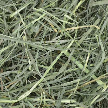 Oxbow Orchard Grass Hay for Small Pets – All-Natural Long Strand Fiber Hay for Rabbits, Guinea Pigs, Chinchillas, and Hamsters – Supports Digestive Health and Enrichment – 40 oz Bag
