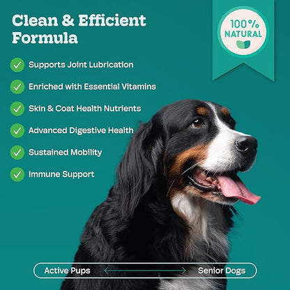 Probiotics for Dogs, Hip Joint Supplement for Dogs – Hip and Joint Plus Gut Health Chews, Glucosamine, Chondroitin, Omega 3, Collagen & Probiotics, Supports Digestion Joints and Hips, Immunity, Fur