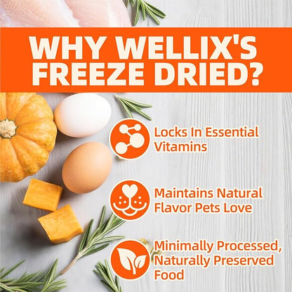 Wellix Chicken & Pumpkin Raw Treat – Freeze Dried Chicken Snacks, Pet Food Topper, Grain Free, Crunchy Cat Treats for Indoor Cats - for Small, Medium & Large Cats & Dogs - 4.59 oz