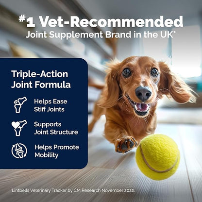 YuMOVE Hip & Joint Supplement for Dogs with Glucosamine, Hyaluronic Acid, Green Lipped Mussel & Omega 3 Joint Supplement - Regular or Advanced Strength (45ct Chews, Advanced Strength)