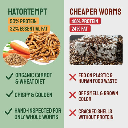 Hatortempt 1.8lb Dried Mealworms for Wild Birds - 50% Protein Meal Worms for Wild Birds - Attracts Bluebirds, Starlings, Wrens, Woodpeckers, Cardinals and Robins