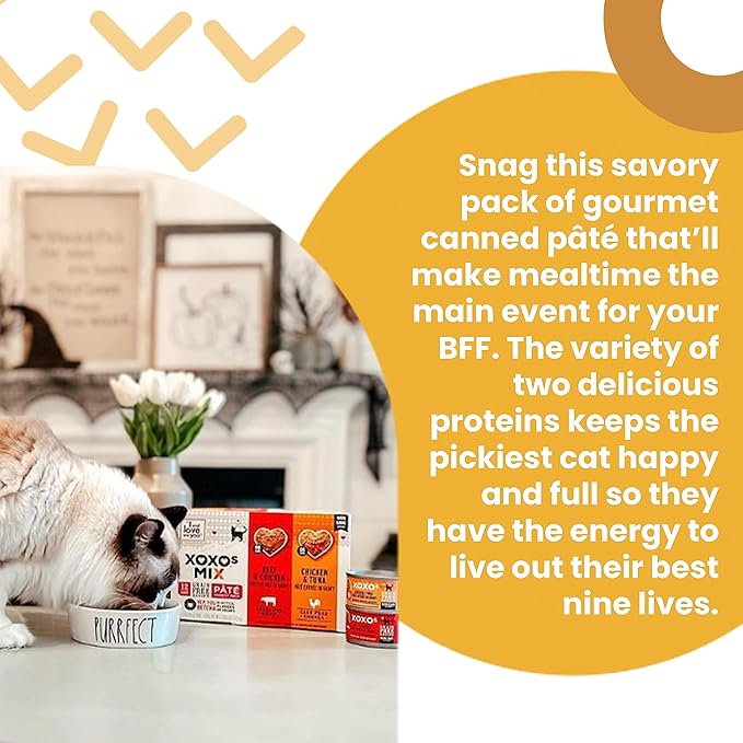 I AND LOVE AND YOU XOXOs Wet Cat Food - Salmon + Tuna Pâté - Grain Free, Filler Free, 3oz Pack of 24 Cans