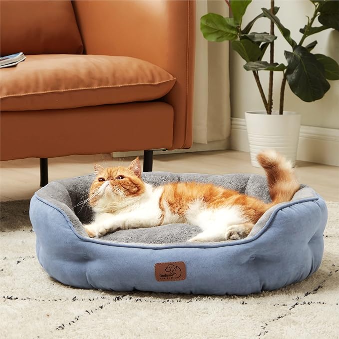 Bedsure Dog Beds for Small Dogs - Round Cat Beds for Indoor Cats, Washable Pet Bed for Puppy and Kitten with Slip-Resistant Bottom, 25 Inches, Frost Blue