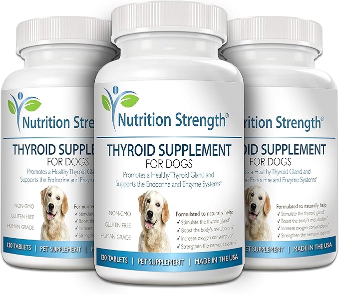 Thyroid Supplement for Dogs, Support for Hypothyroidism in Dogs with Organic Bladderwrack, Promotes Normal Function of Endocrine and Enzyme Systems, 120 Chewable Tablets