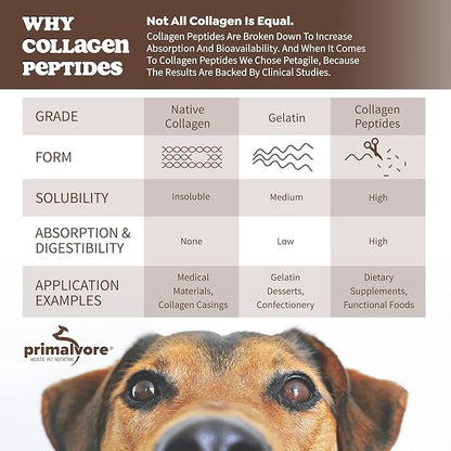 Primalvore Free-Range Bone Broth for Dogs &Cats, Mobility Formula w/Collagen Peptides to Help Support Hip & Joints, Digestion, Skin & Coat and Hydration, Human Grade, Made in USA. Chicken 2 Pack