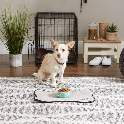 Bone Dry Lattice Collection Pet Bowl & Canister, Single Dish, Small 4.25x2", Aqua