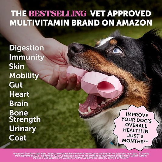 10-in-1 Dog Multivitamin Supplement with Glucosamine & Probiotics - Hip & Joint Support, Digestive Health, Immune Support, Heart & Skin - All-in-One Daily Vitamins & Omega-3s for Dogs (Chicken, 90 Ct)