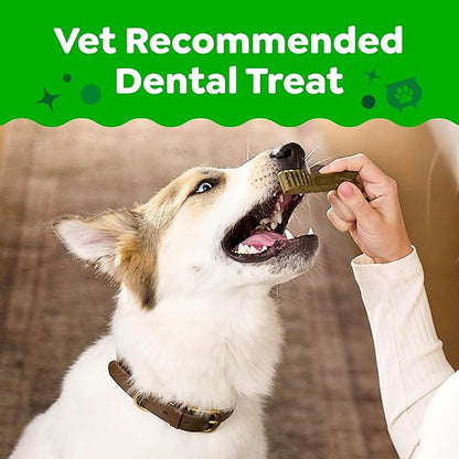 Greenies Veterinarian-Recommended, Limited-Edition Natural Dental Dog Treats Regular Size, Pumpkin Spice Flavor, 12 oz. Pack, 12 Count