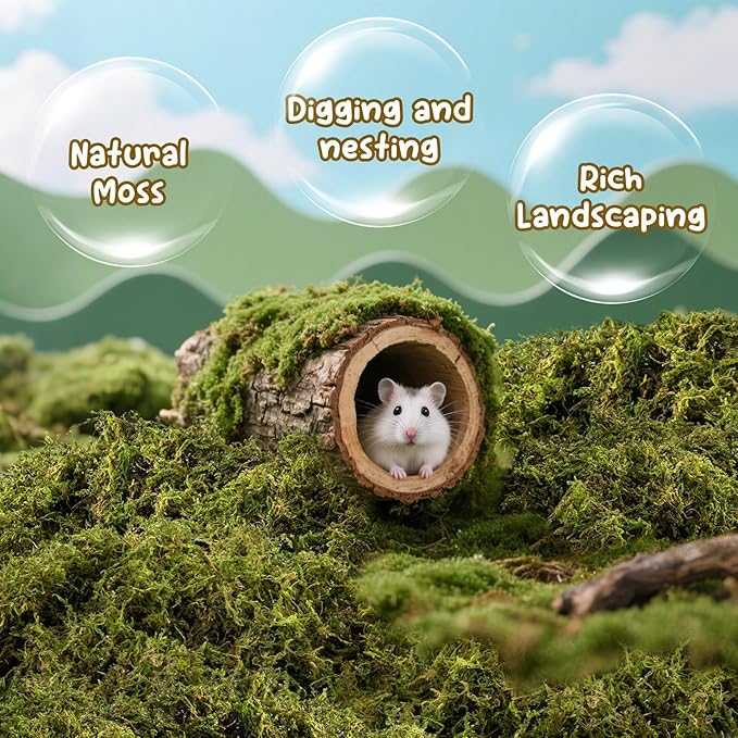 Sukh Hamster Moss - 5.6 Oz Forest Moss for Hamster Bedding Nesting Hideout Dried Moss Reptile Moss for Squirrels Hamsters Guinea Pigs Mices Small Animals Cage Accessories
